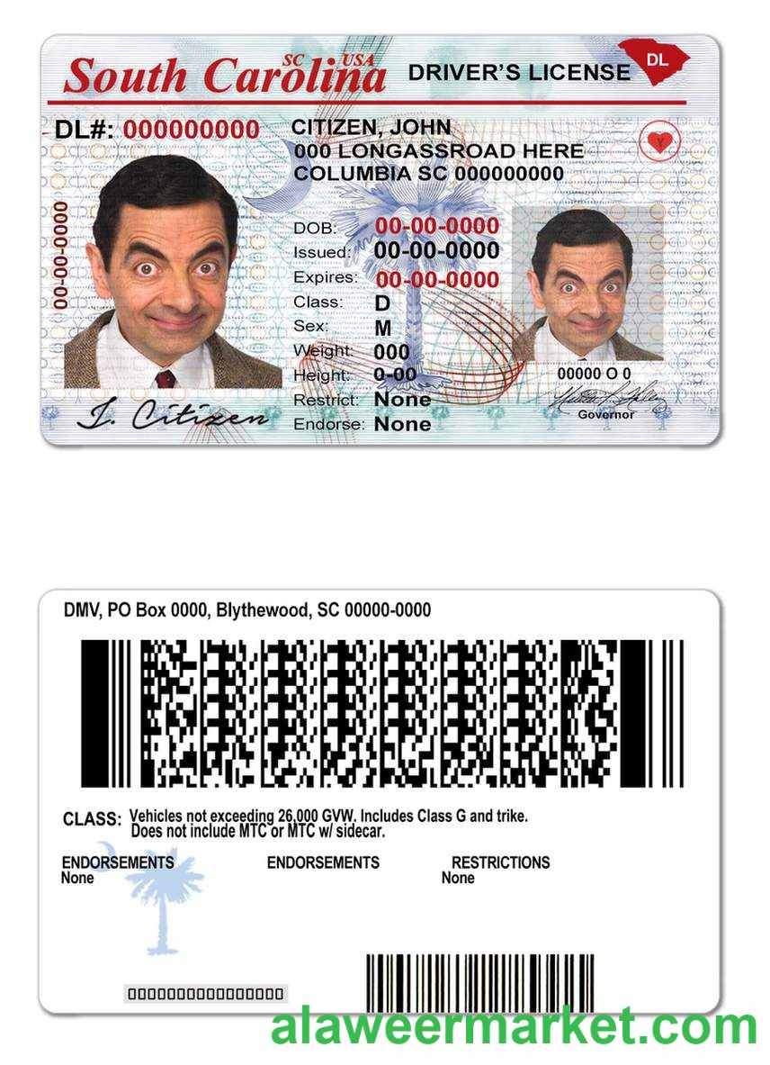 USA South Carolina state driving license